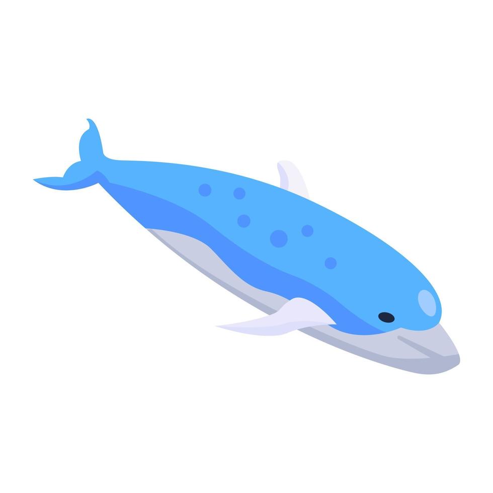 mammifero marino placentare completamente acquatico, disegno dell'icona della balena vettore