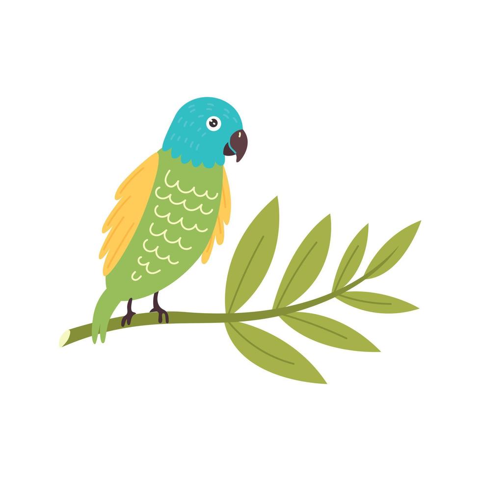 vettore pappagallo colorato seduto su un ramo