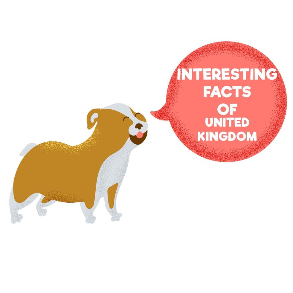 fatti interessanti del simbolo del bulldog animale del regno unito. destinazioni turistiche nel regno unito vettore