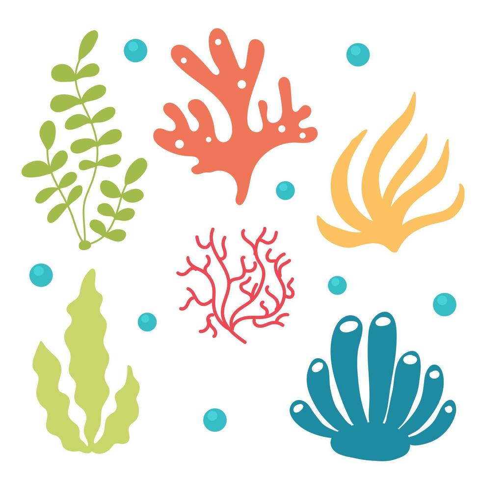 insieme di alghe e coralli luminosi vettore