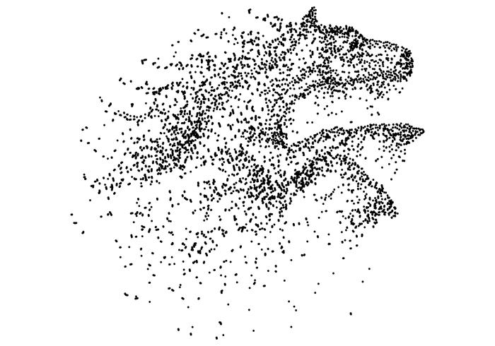 Illustrazione di vettore della particella di salto del cavallo