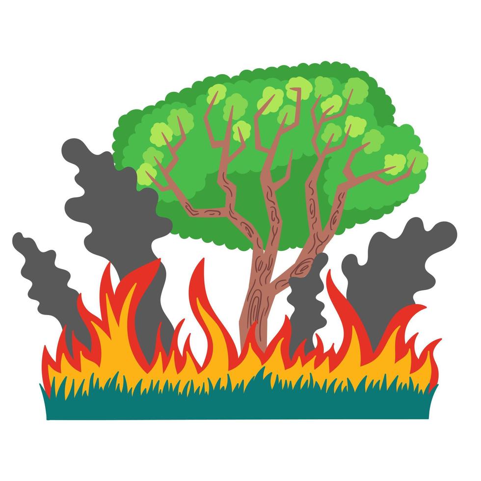 foresta ed erba nel fuoco e nel fumo. un disastro ecologico in australia incendi boschivi. illustrazione vettoriale isolato su sfondo bianco
