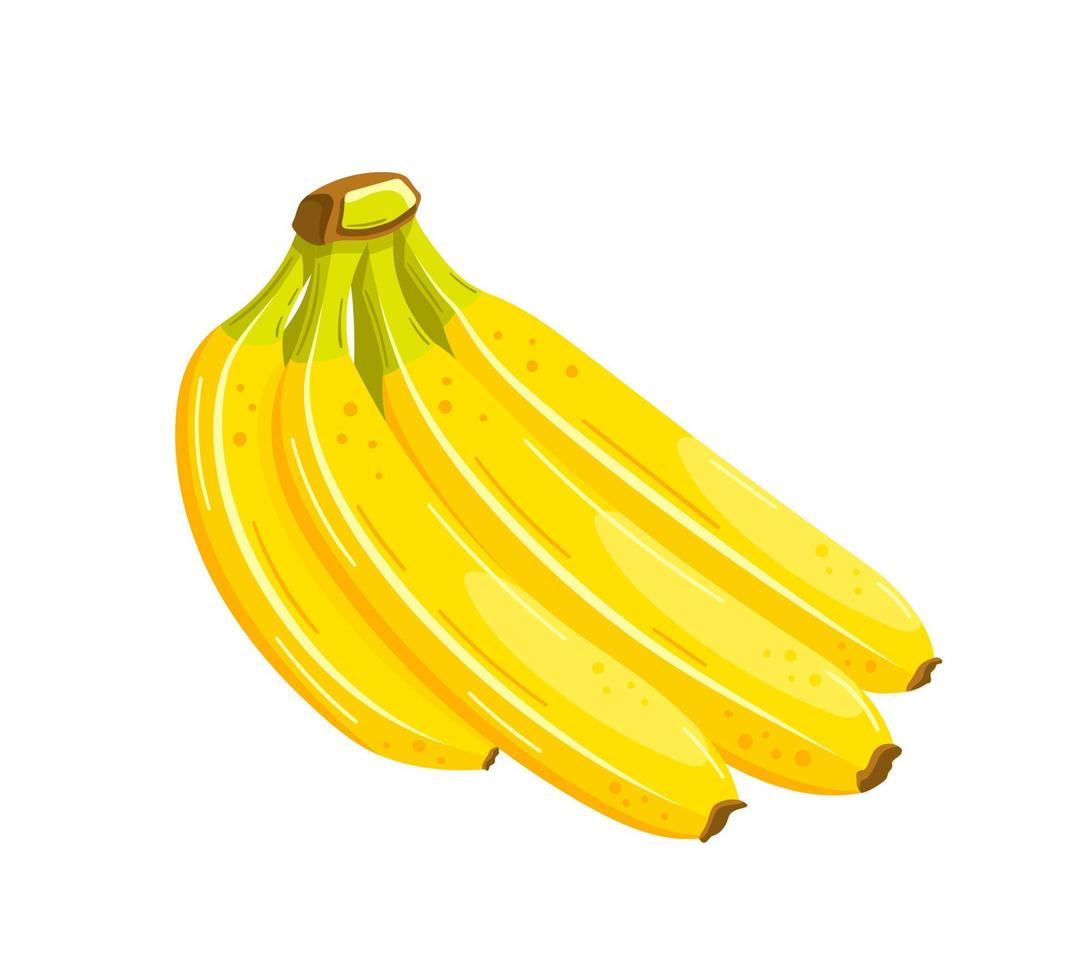 banane gialle isolate su sfondo bianco vettore
