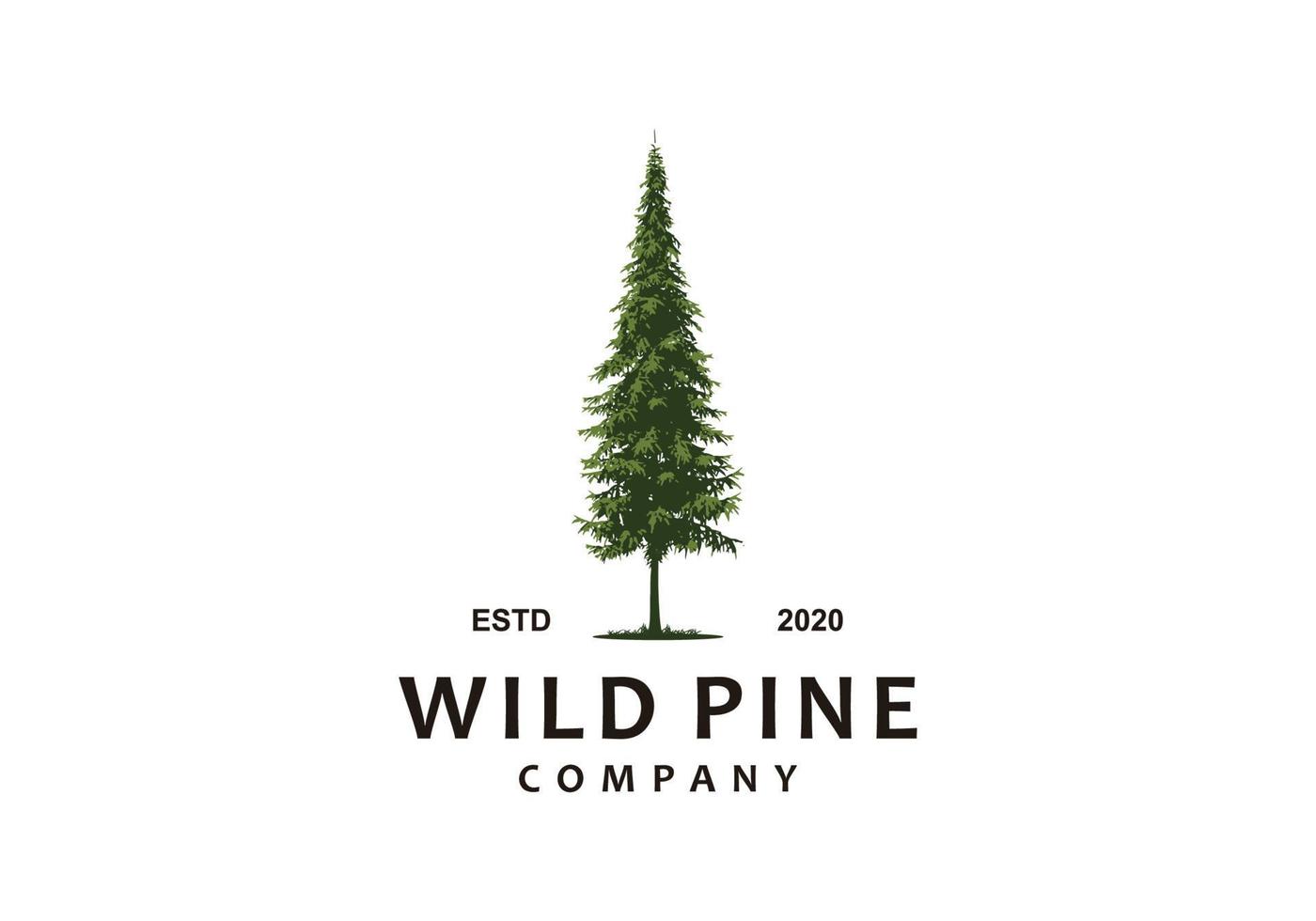 illustrazione del logo della foresta di pini selvatici vettore