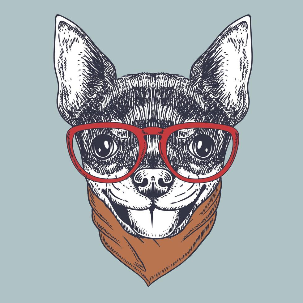 cane chihuahua disegnato a mano con occhiali rossi e bandana vettore