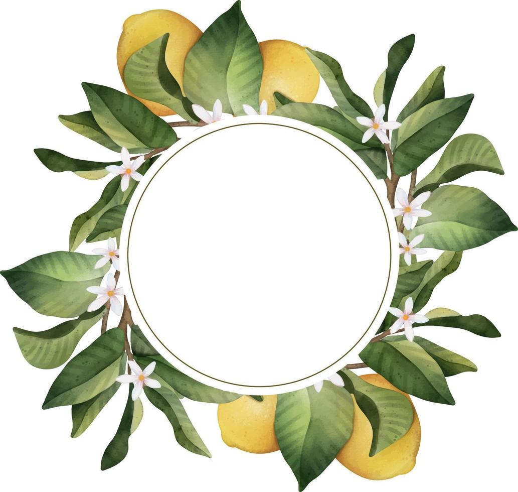 cornice rotonda disegnata a mano di limone acquerello. illustrazione ad acquerello corona di limone e foglie. vettore