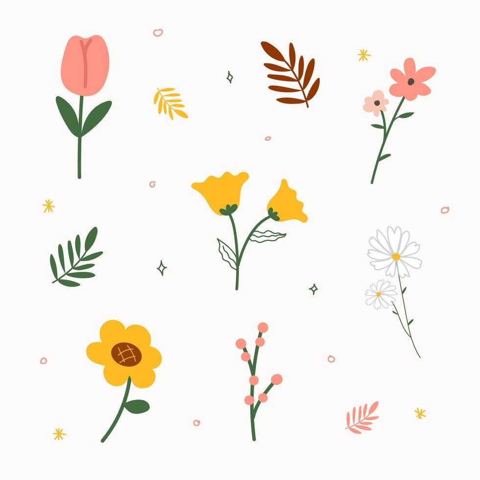 illustrazione vettoriale fiore foglia di fiore botanico. sfondo isolato