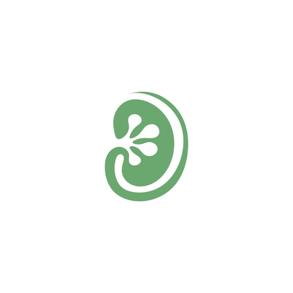 logo di urologia, modello sano dell'icona del logo del rene vettore