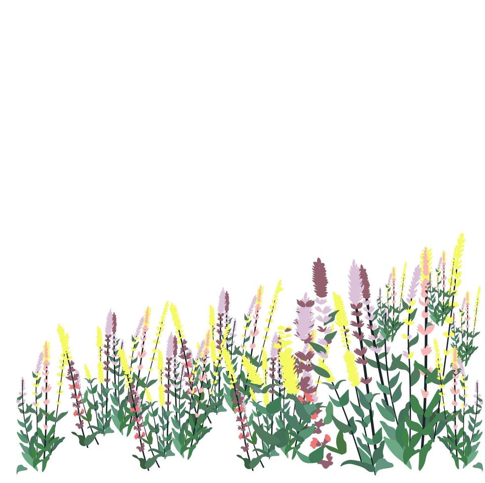 illustrazione di riserva di vettore dell'erba del prato. bordo di fiori di campo per biglietto di auguri primaverile. spazio per il testo. flora alpina. Isolato su uno sfondo bianco.