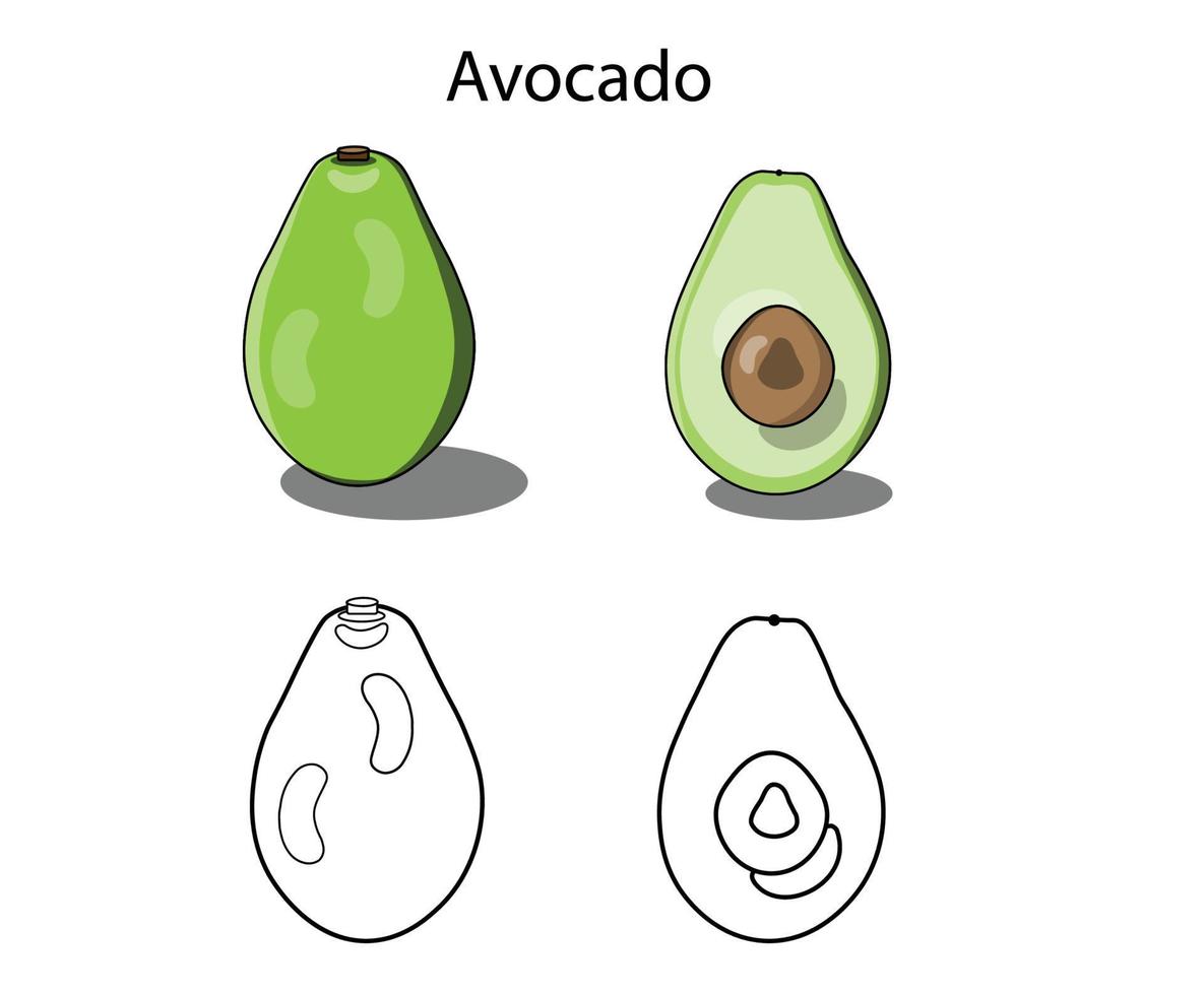 una serie di illustrazioni di avocado può essere utilizzata come avocado cartone animato, icona o in merchandising. vettore