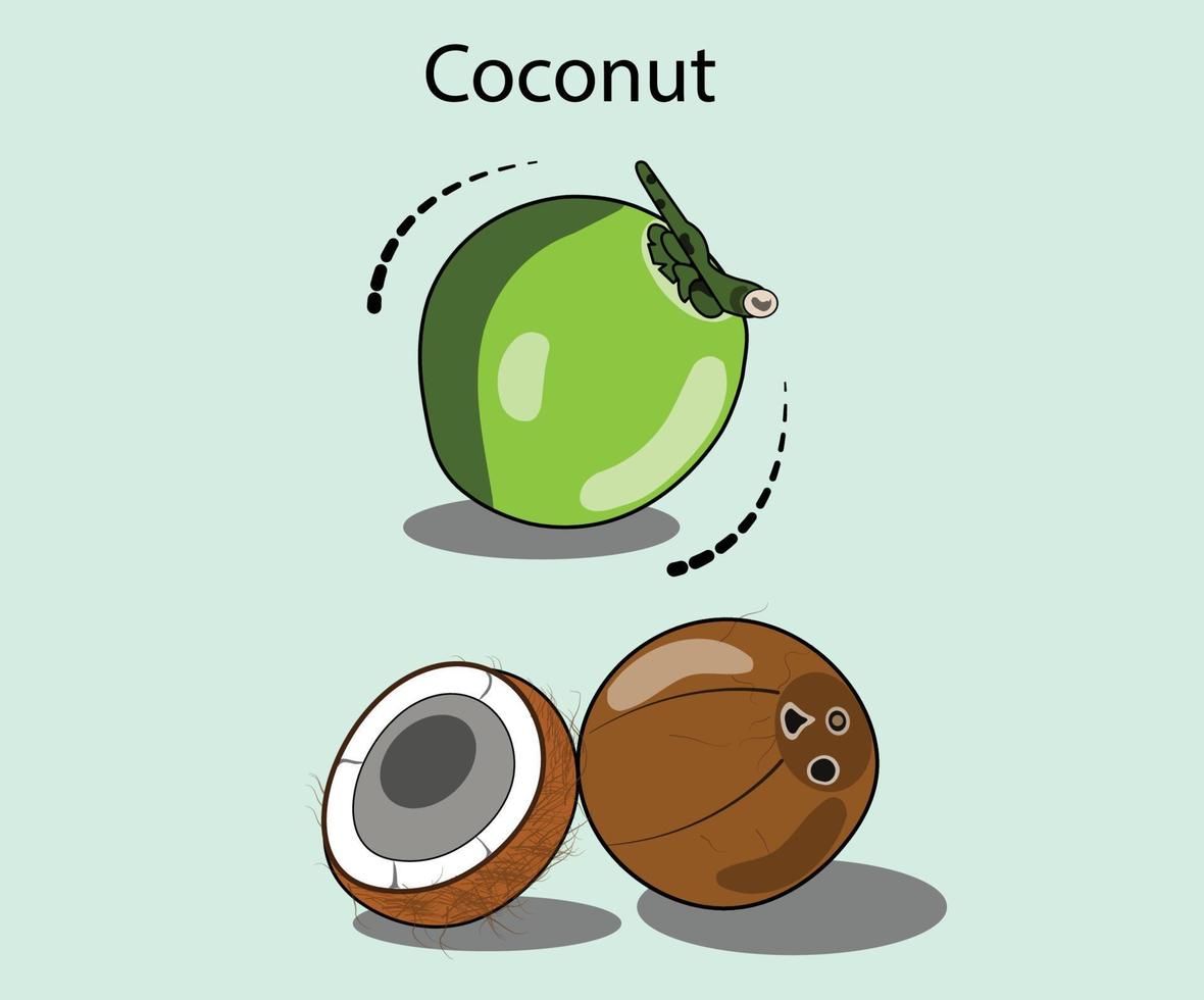 una serie di illustrazioni di cocco può essere utilizzata come cartone animato, icona o in merchandising. vettore
