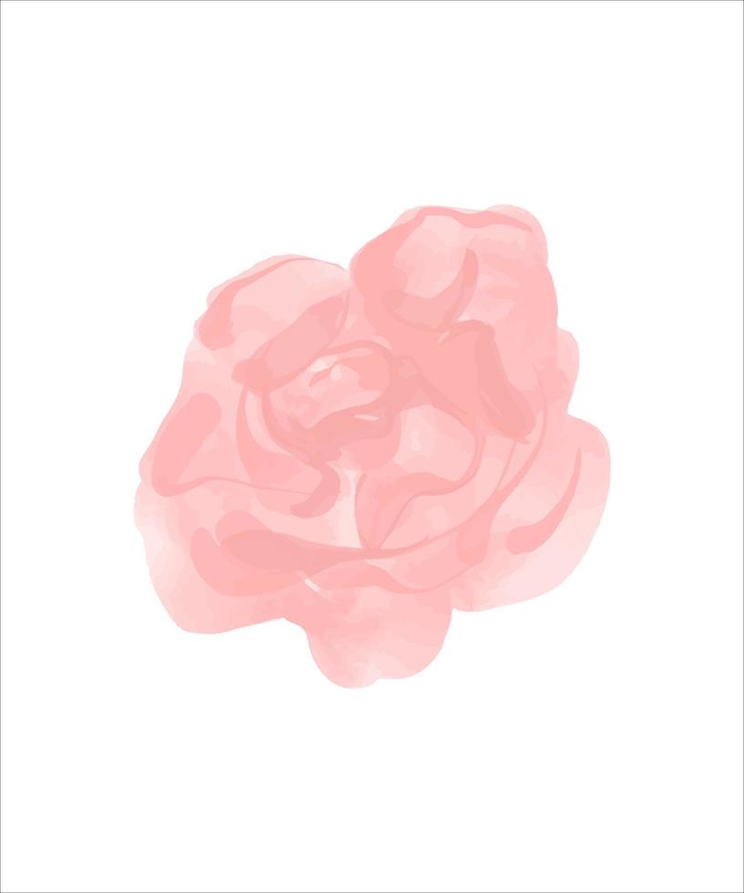 delicato bocciolo rosa di rosa dipinto ad acquerello. illustrazione vettoriale. vettore