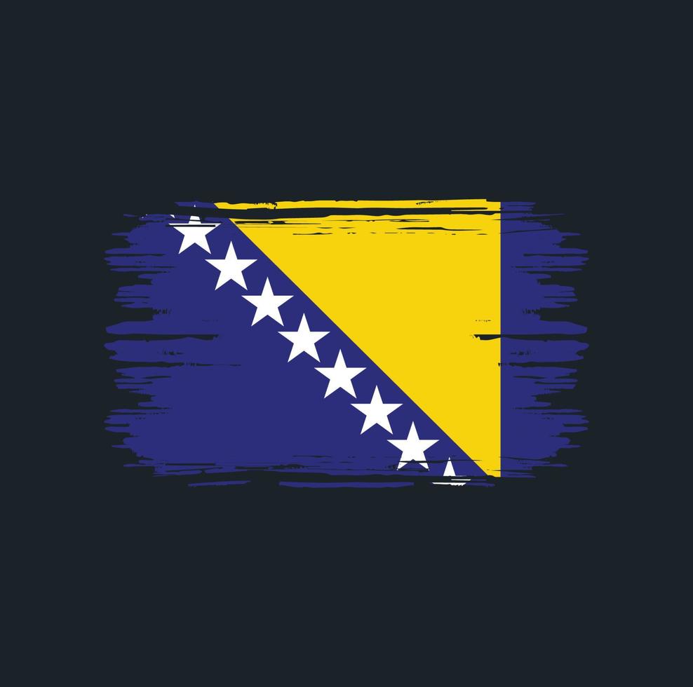 pennello bandiera bosnia erzegovina. bandiera nazionale vettore