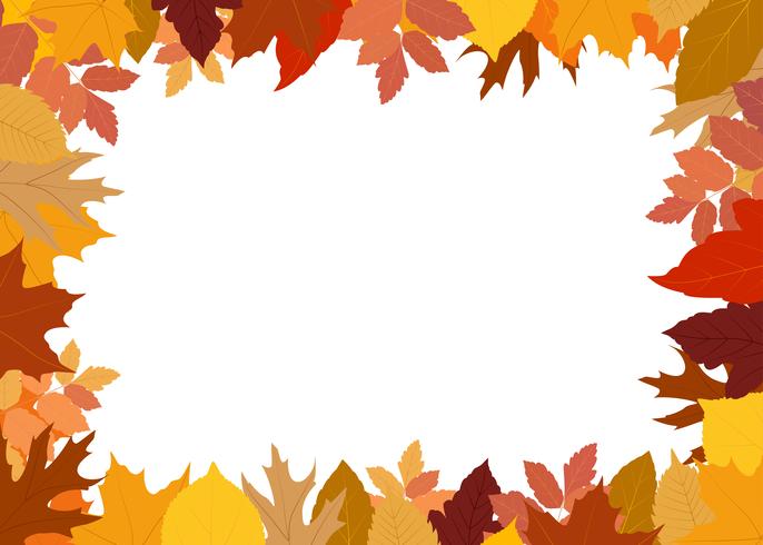 Vector l&#39;illustrazione del telaio fatto delle foglie di autunno variopinte su fondo bianco