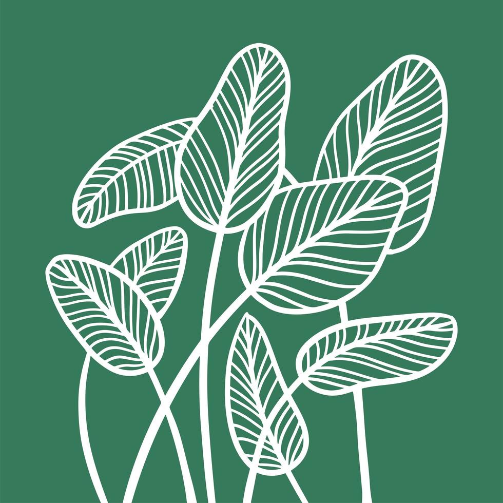 gruppo di foglie astratte in stile schizzo lineare. arte di contorno minimalista alla moda di foglia di palma tropicale. illustrazione disegnata a mano di vettore della pianta esotica isolata su fondo verde.