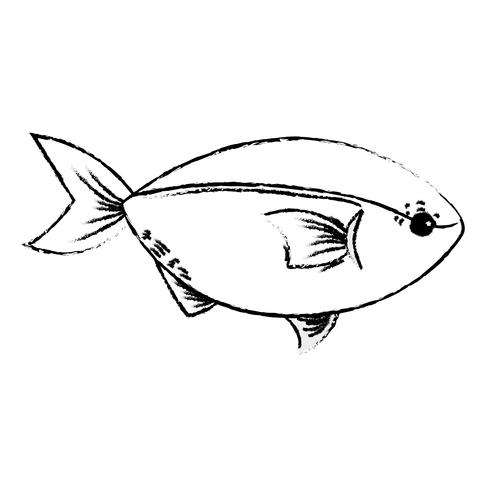 figura delizioso pesce di mare con alimentazione naturale vettore