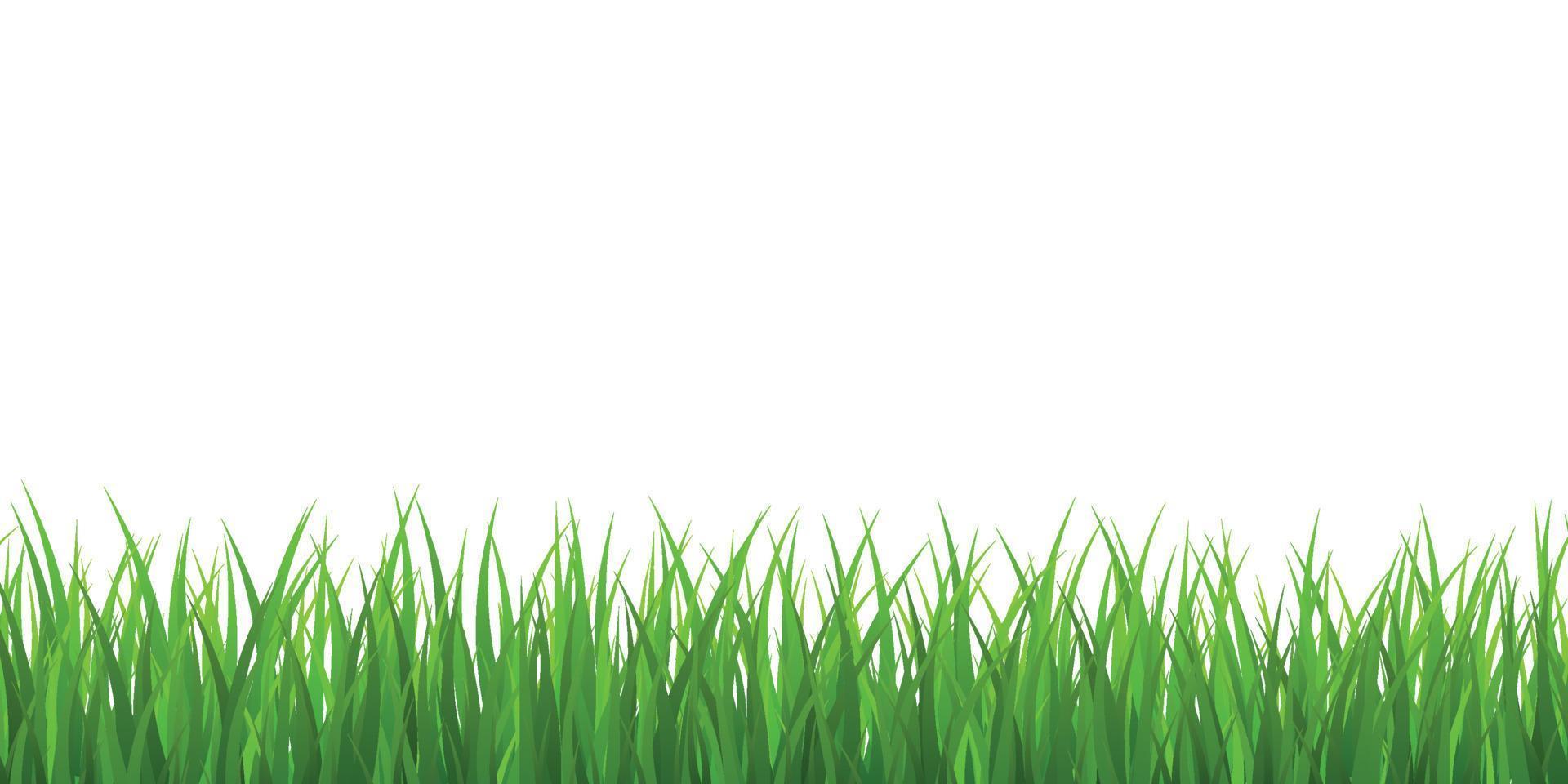 bordo di erba verde fresca vettore