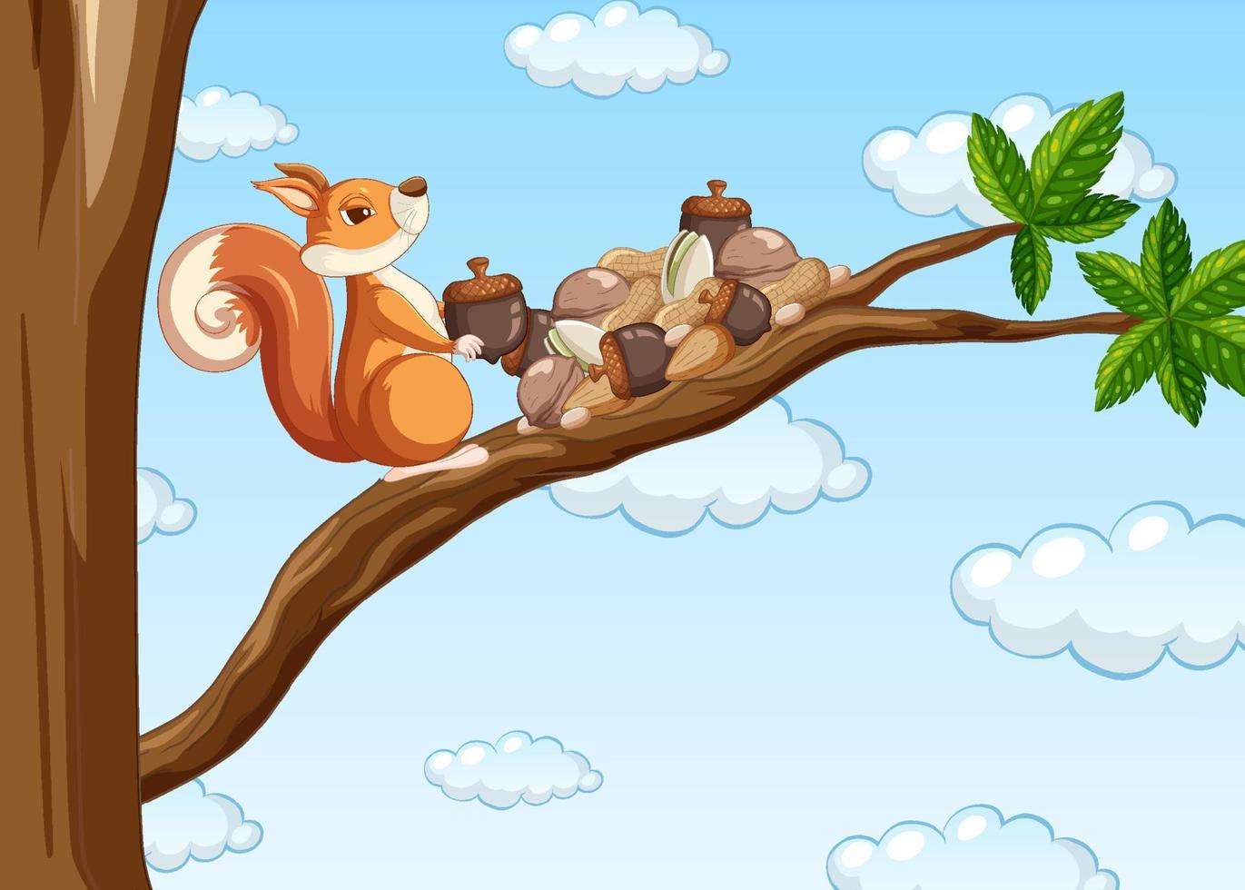 scoiattolo che raccoglie noci sul ramo vettore
