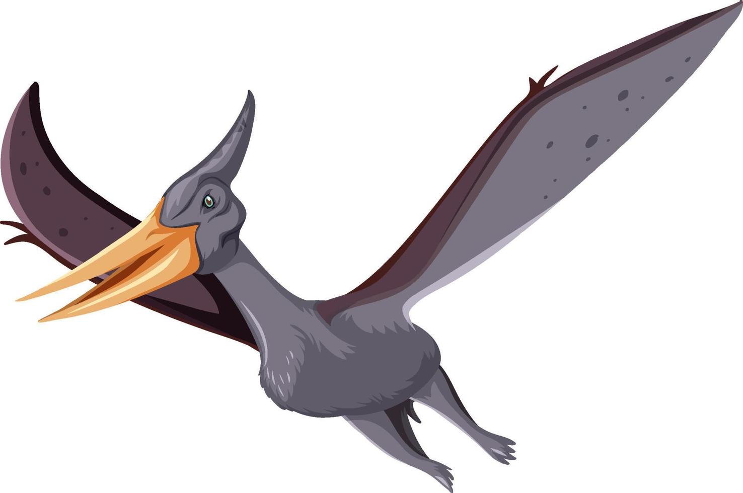 un dinosauro pteranodonte su sfondo bianco vettore