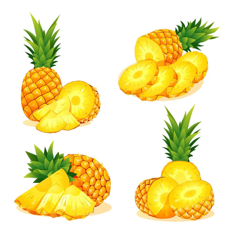 set di illustrazione di ananas fresco intero, mezzo e tagliato isolato su sfondo bianco vettore