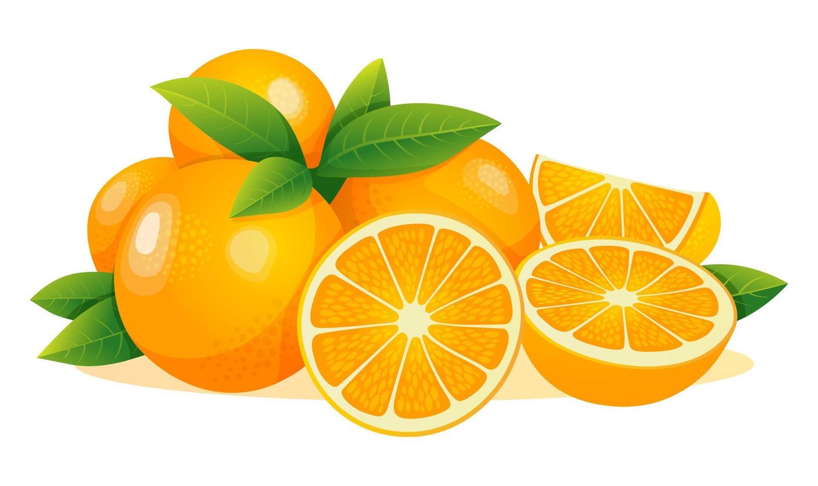 set di frutta fresca arancione intera, metà, fetta tagliata con foglie illustrazione isolata su sfondo bianco vettore