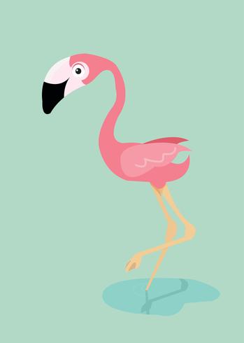 Vettore di uccello fenicottero rosa