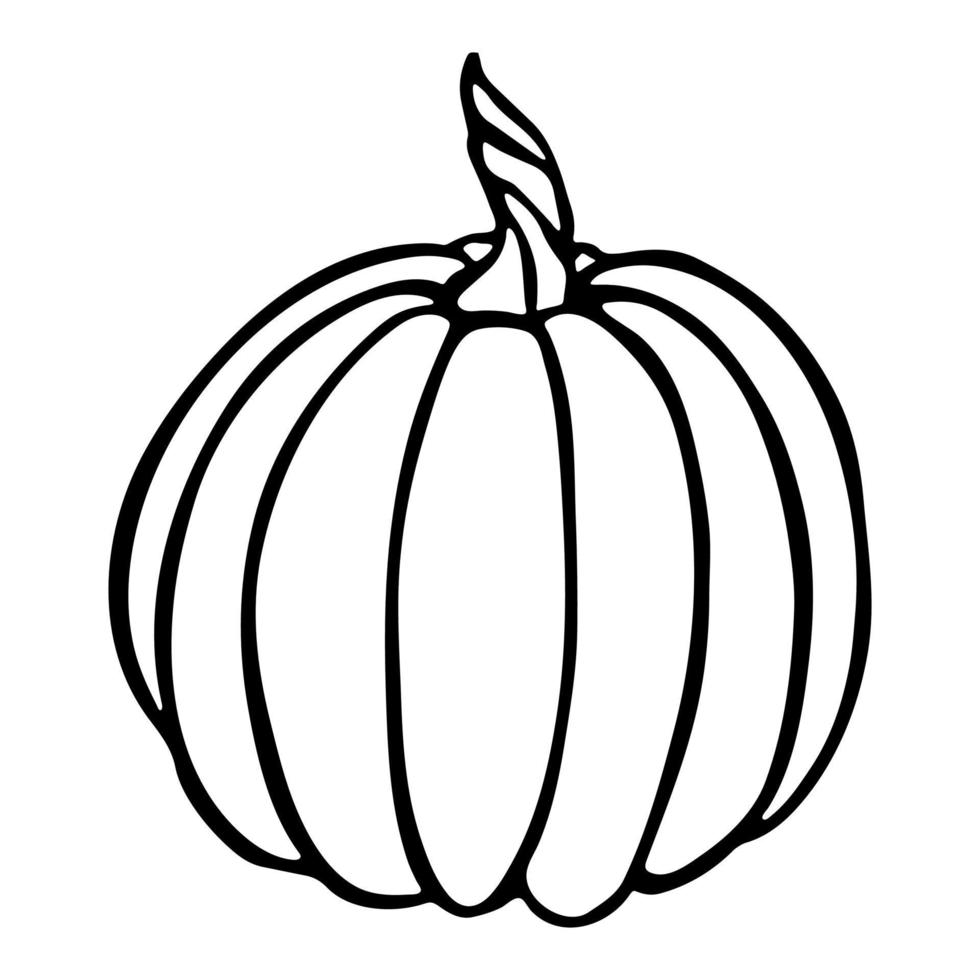 illustrazione disegnata a mano di vettore della zucca. oggetto isolato su sfondo bianco. clipart di raccolta delle verdure. prodotto del mercato agricolo. elementi per il design autunnale, la decorazione.