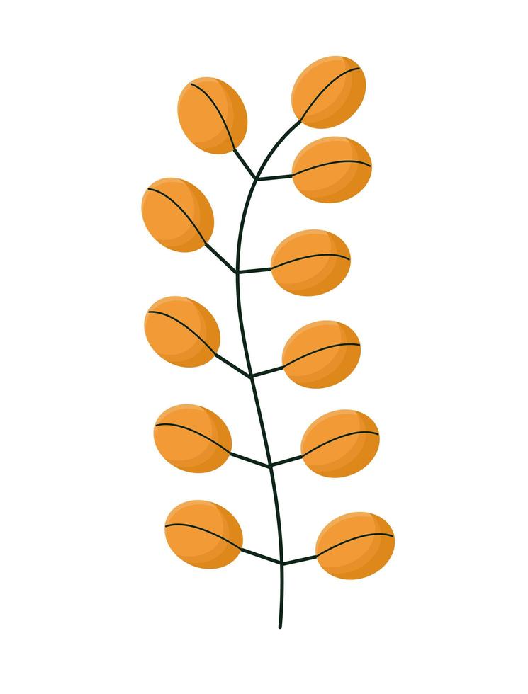 illustrazione di foglie d'arancio vettore