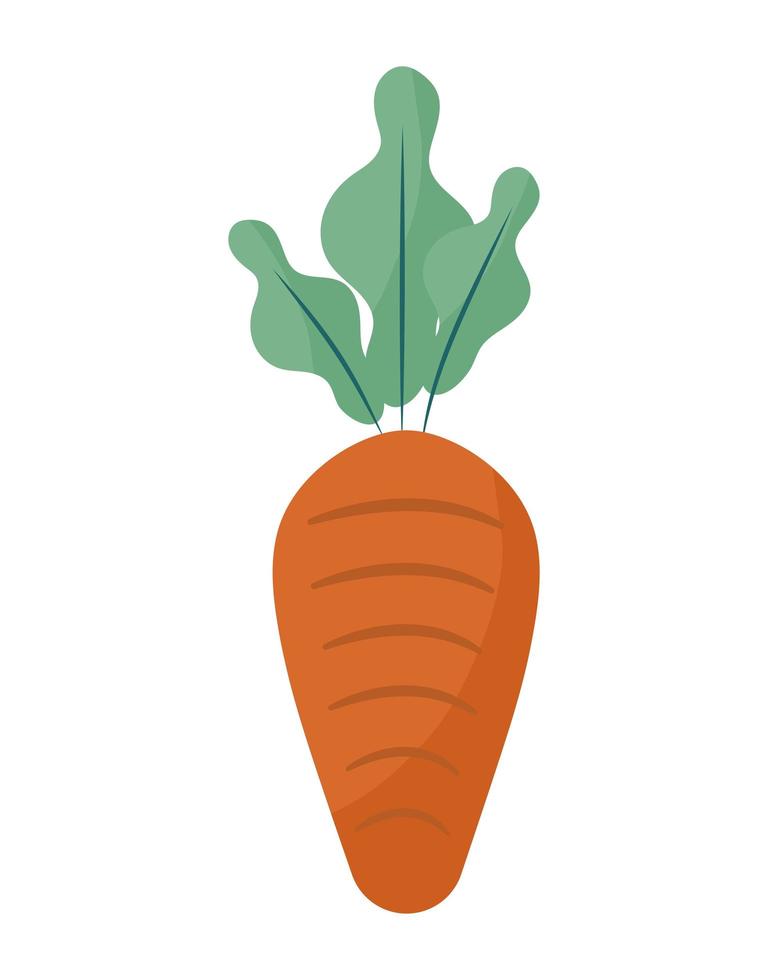 illustrazione di carota arancione vettore