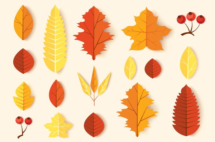 Set di foglie d&#39;autunno vettore