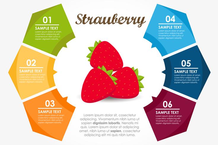 Infografica rotonda fragola vettore