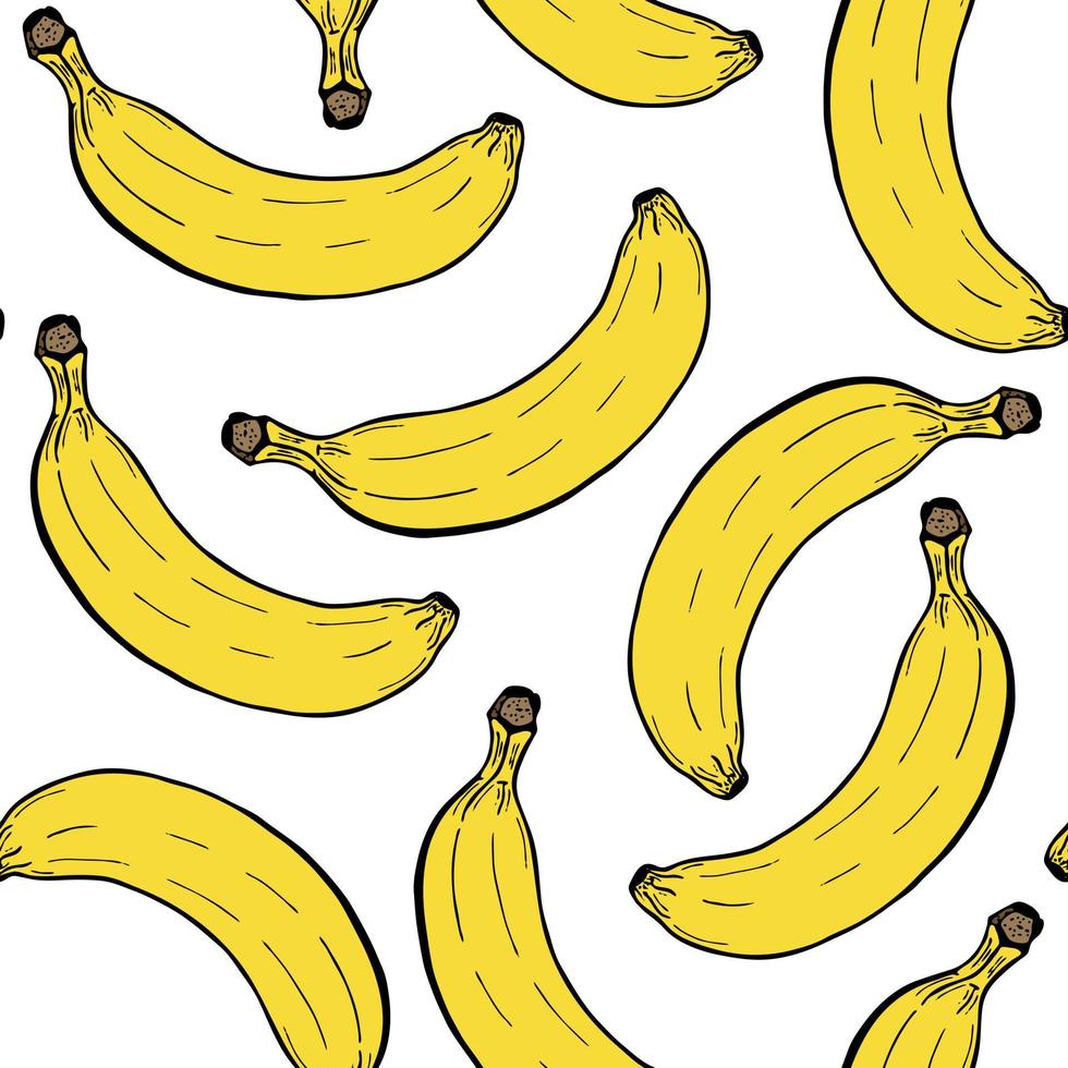 modello senza cuciture di frutta disegnata a mano con banana. illustrazione vettoriale, su sfondo bianco per tessuto, tessuto, carta vettore