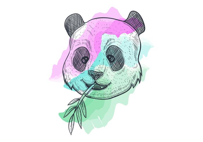 Panda che mangia bambù vettore