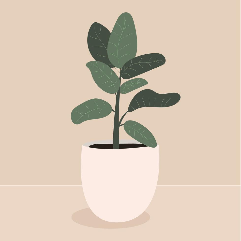 pianta domestica in un vaso bianco su fondo beige. illustrazione vettoriale di ficus. un elegante elemento di design di una pianta d'appartamento per interni moderni.