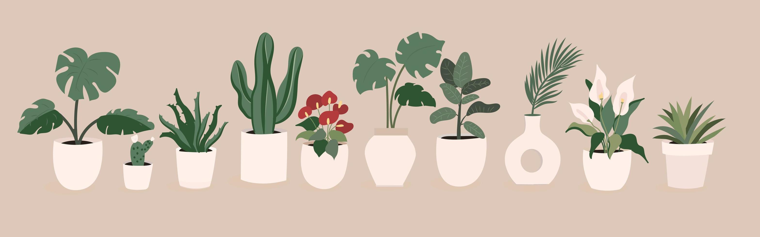 set di illustrazioni vettoriali disegnate a mano per piante da interno per interni, su bacground beige