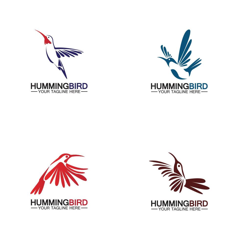 modello di vettore di progettazione del logo del colibrì