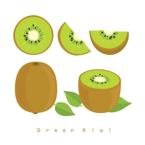 Set di kiwi verde vettore