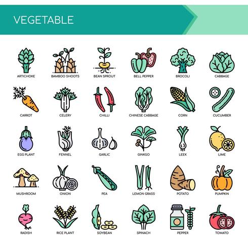 Insieme delle icone e degli elementi di verdure di linea sottile di colore vettore