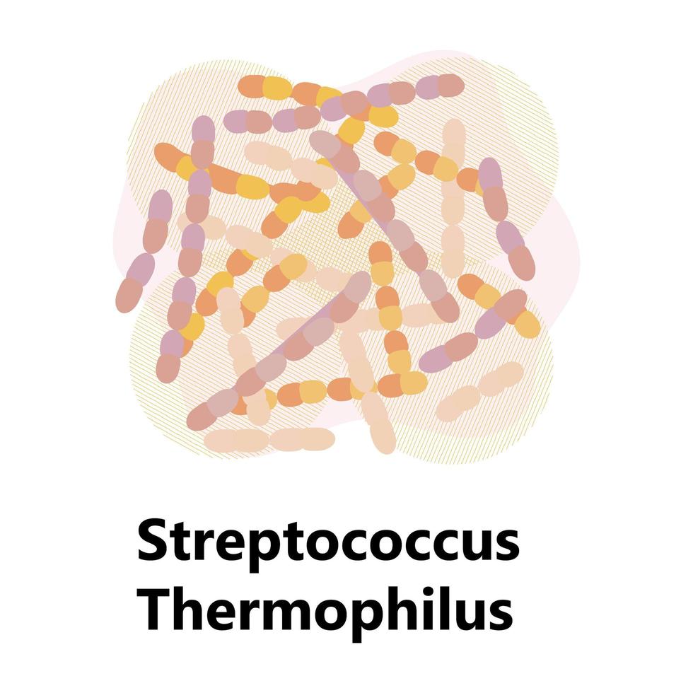 batteri probiotici. lactobacillus, logo bulgaricus con testo. vengono mostrati simboli amorfi per prodotti lattiero-caseari come yogurt, acidophilus. sono mostrati lactococcus, propionibacterium. vettore