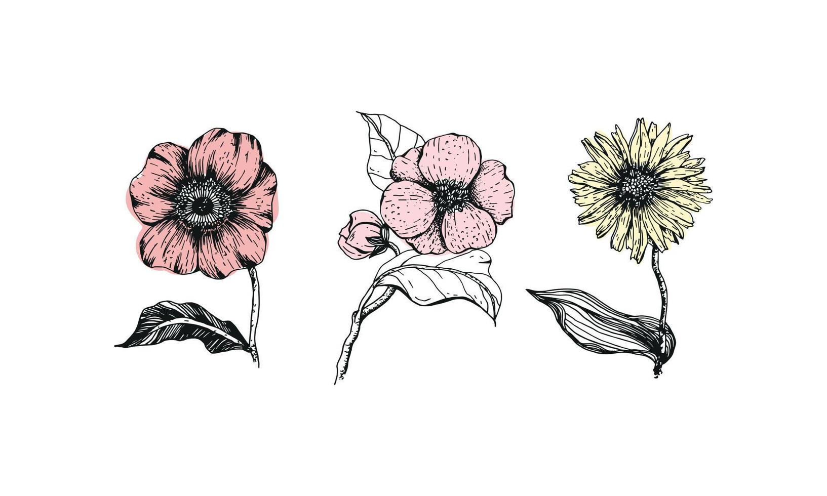 set di fiori vintage. schizzo botanico. illustrazione vettoriale