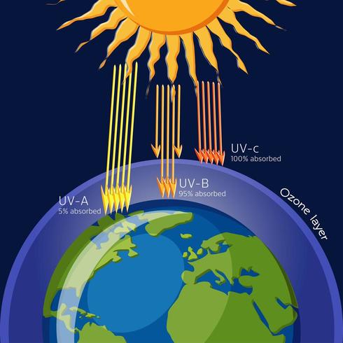 Protezione dello strato di ozono dalle radiazioni ultraviolette vettore