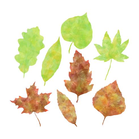 Set di foglie di autunno dell&#39;acquerello vettore