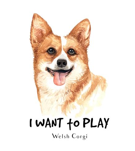 Ritratto di un acquerello Welsh Corgi cane vettore