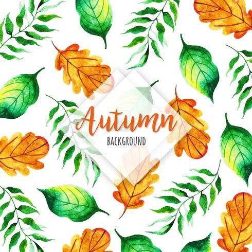 Bello fondo delle foglie di autunno dell&#39;acquerello vettore