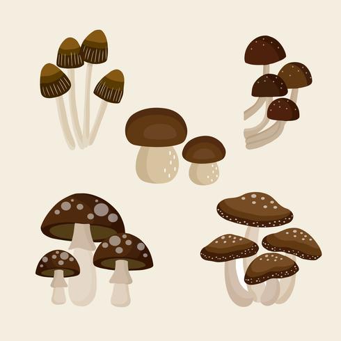 Diversi tipi di set di funghi vettore
