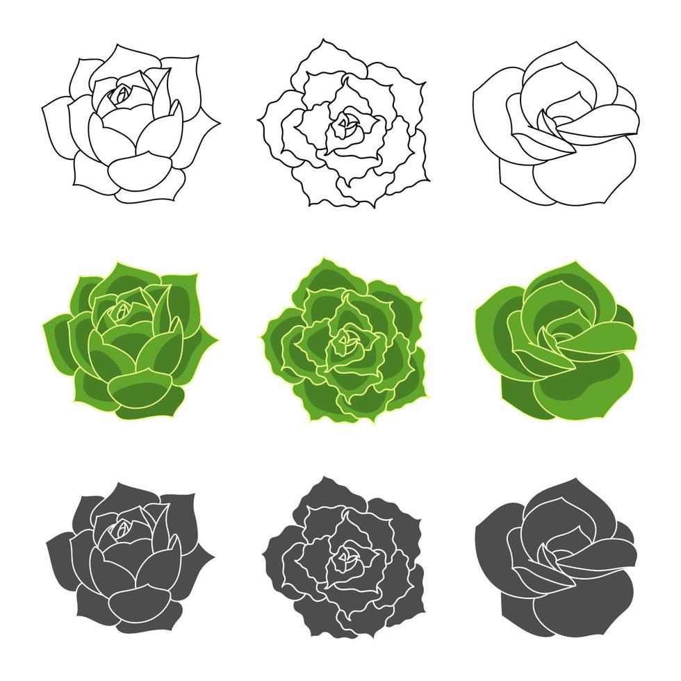 succulente echeveria vector set - bella rosa, greenovia, shaviana. illustrazione disegnata a mano del fiore del deserto in stile piatto e doodle. impostare piante con contorno nero, succulente silhouette