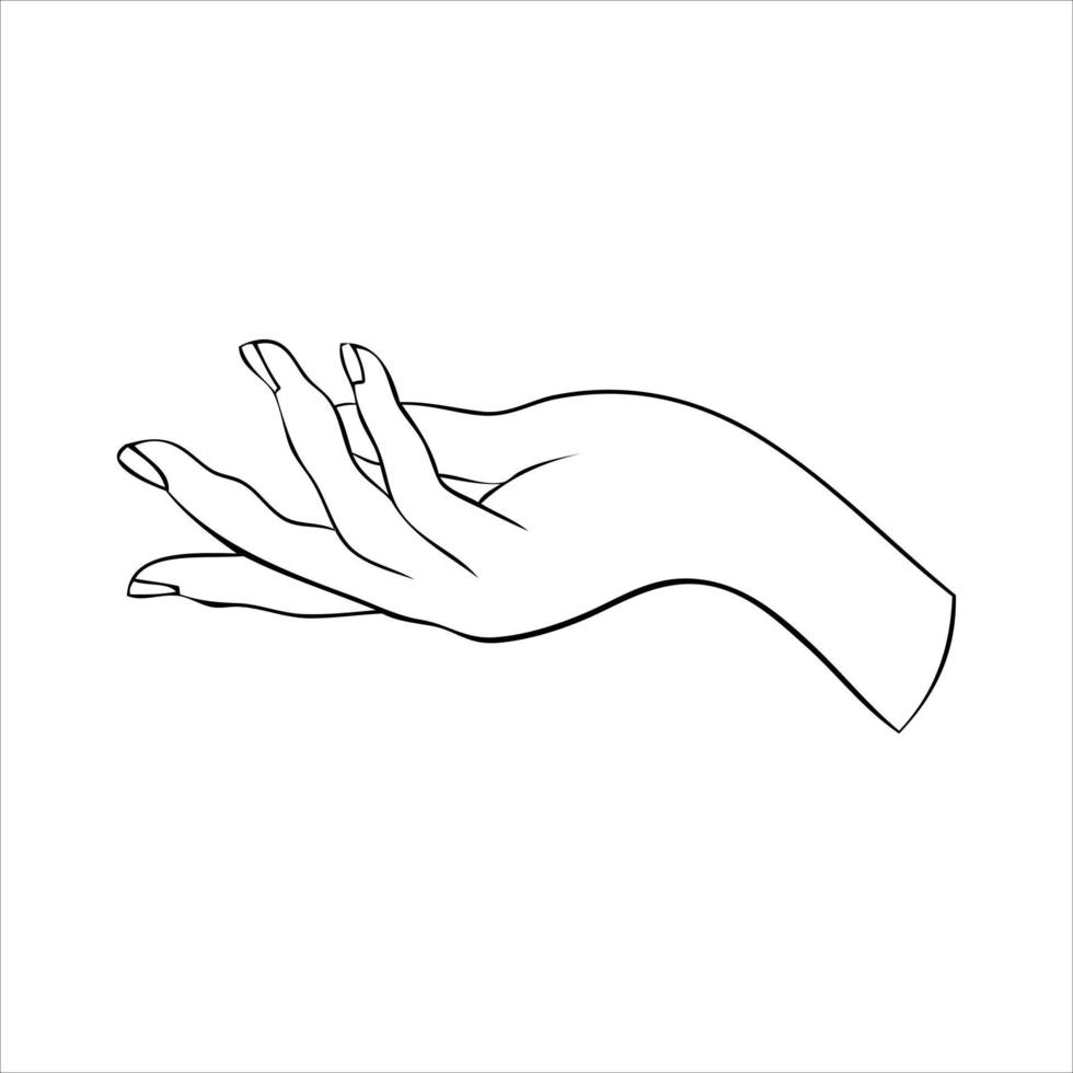 silhouette lineare di un'elegante mano femminile o strega. movimenti mistici della postura delle dita. illustrazione vettoriale