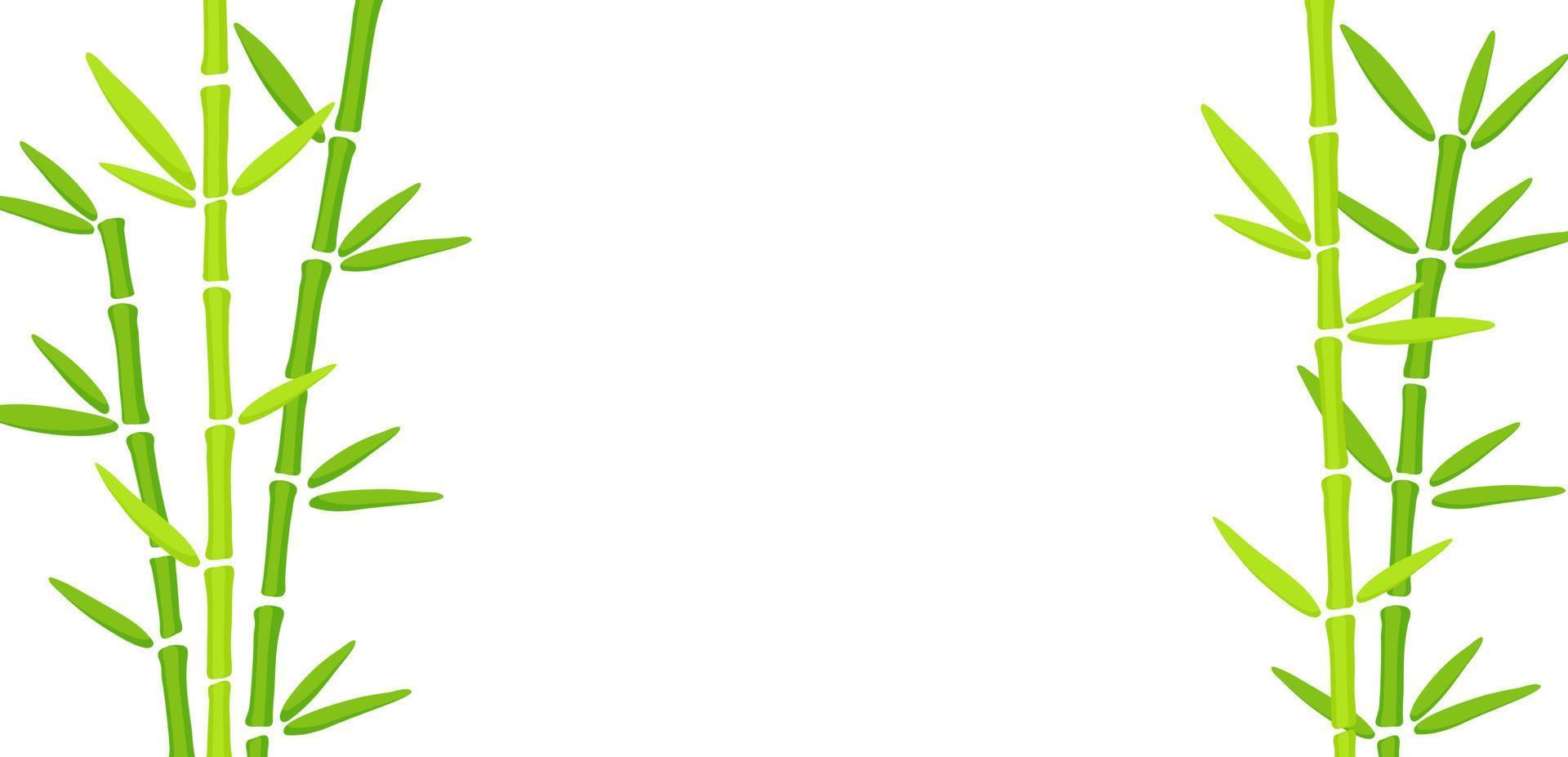 sfondo disegnato a mano di erba di bambù verde. illustrazione vettoriale di piante cinesi orientali. modello con spazio di copia