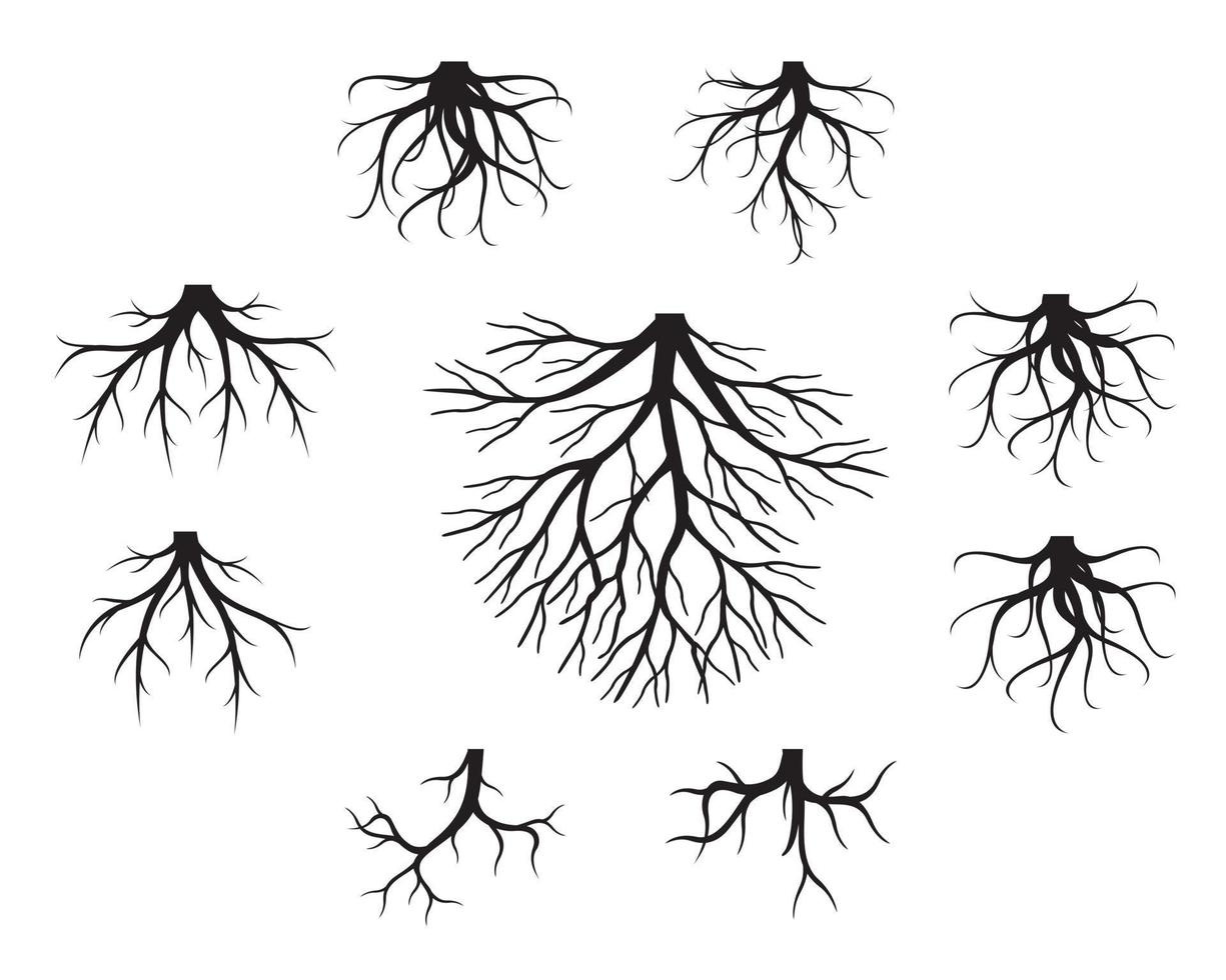 set di radici di alberi neri. illustrazione di contorno vettoriale e immagine della natura.