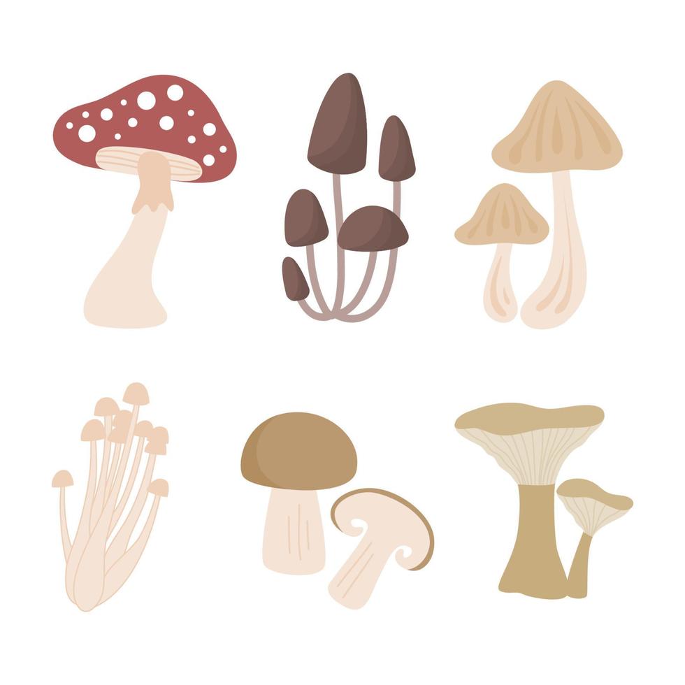 illustrazione vettoriale di raccolta di funghi commestibili